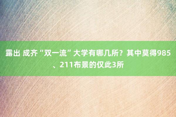 露出 成齐“双一流”大学有哪几所？其中莫得985、211布景的仅此3所