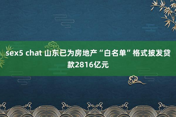 sex5 chat 山东已为房地产“白名单”格式披发贷款2816亿元