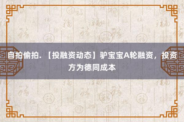 自拍偷拍. 【投融资动态】驴宝宝A轮融资，投资方为德同成本