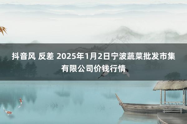 抖音风 反差 2025年1月2日宁波蔬菜批发市集有限公司价钱行情