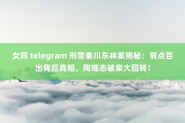 女同 telegram 刑警秦川东林案揭秘：弱点百出背后真相，陶维志破案大回转！