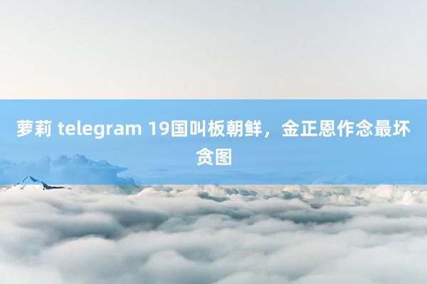 萝莉 telegram 19国叫板朝鲜，金正恩作念最坏贪图