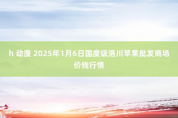 h 动漫 2025年1月6日国度级洛川苹果批发商场价钱行情