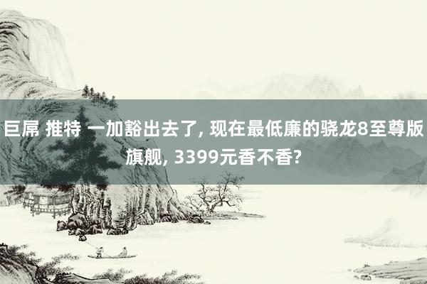 巨屌 推特 一加豁出去了， 现在最低廉的骁龙8至尊版旗舰， 3399元香不香?