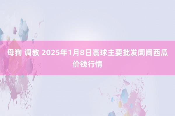 母狗 调教 2025年1月8日寰球主要批发阛阓西瓜价钱行情