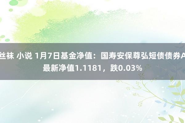 丝袜 小说 1月7日基金净值：国寿安保尊弘短债债券A最新净值1.1181，跌0.03%