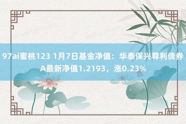 97ai蜜桃123 1月7日基金净值：华泰保兴尊利债券A最新净值1.2193，涨0.23%