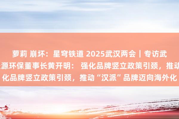 萝莉 崩坏：星穹铁道 2025武汉两会｜专访武汉市东说念主大代表、天源环保董事长黄开明： 强化品牌竖立政策引颈，推动“汉派”品牌迈向海外化