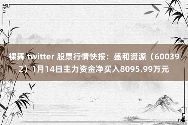 裸舞 twitter 股票行情快报：盛和资源（600392）1月14日主力资金净买入8095.99万元