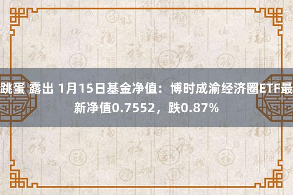 跳蛋 露出 1月15日基金净值：博时成渝经济圈ETF最新净值0.7552，跌0.87%