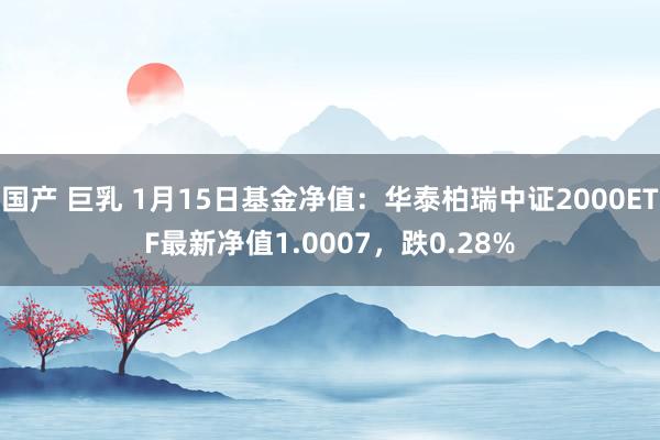 国产 巨乳 1月15日基金净值：华泰柏瑞中证2000ETF最新净值1.0007，跌0.28%