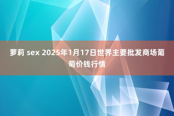 萝莉 sex 2025年1月17日世界主要批发商场葡萄价钱行情