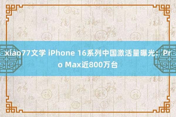 xiao77文学 iPhone 16系列中国激活量曝光：Pro Max近800万台