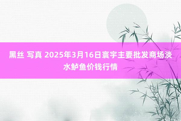 黑丝 写真 2025年3月16日寰宇主要批发商场淡水鲈鱼价钱行情